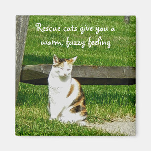Rescue cats give you a warm, fuzzy feeling Magnet
