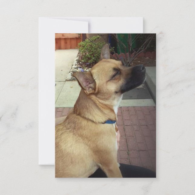 Rescue Dog 3.5" x 5" Flat Thank You Card (Front)