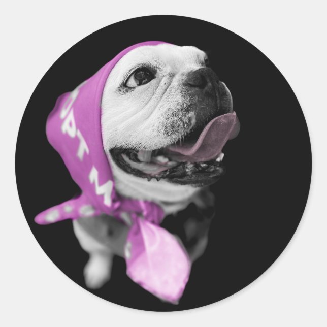 Rescue Dog Classic Round Sticker (Front)