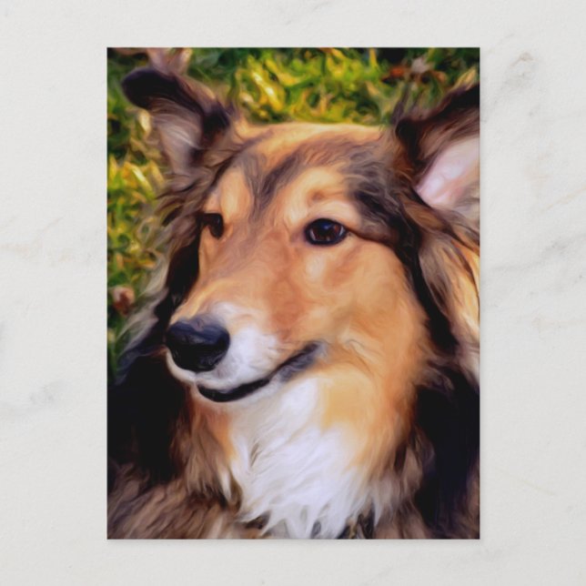 Rescue Dog Postcard (Front)