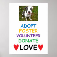 Rescue Dog Poster, Adopt Love