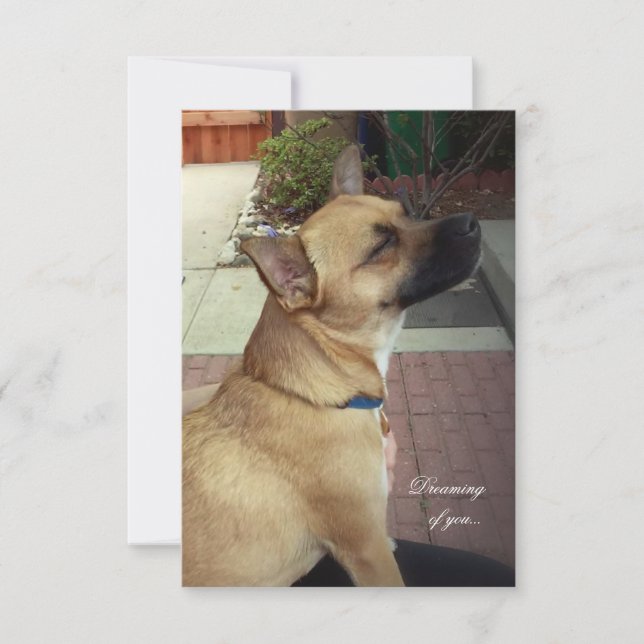 Rescue Dogs 3.5" x 5" Flat Thank You Card (Front)