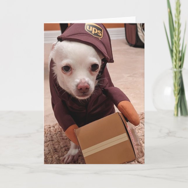 Rescue Dogs Standard, 5" x 7" Folded Greeting Card (Front)