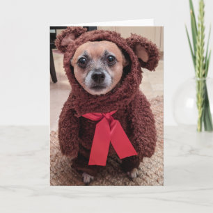 Rescue Dogs Standard, 5" x 7" Folded Greeting Card