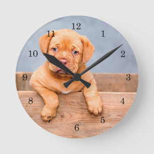 Rescue  Dogue de Bordeaux Puppy French mastiff Round Clock