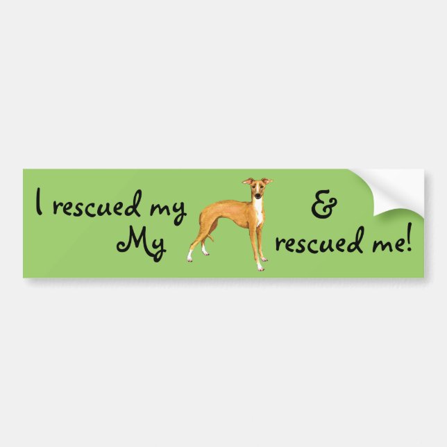 Rescue Italian Greyhound Bumper Sticker (Front)