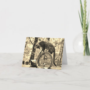 Rescue Kittens Playing on Log Notecard Greeting