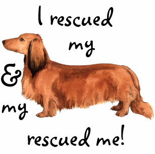 Weiner Bags Zazzle Ca