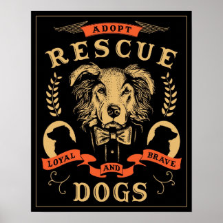 Rescue Poster Amanda