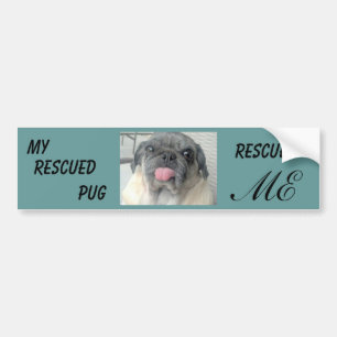 Rescue pug bumper sticker