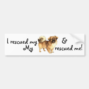 Rescue Tibetan Spaniel Bumper Sticker