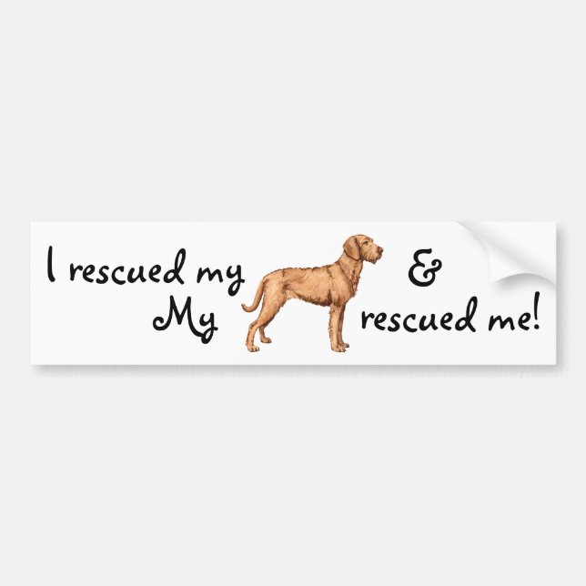 Rescue Wirehaired Vizsla Bumper Sticker (Front)