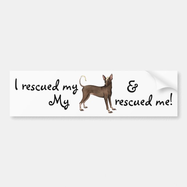 Rescue Xoloitzcuintli Bumper Sticker (Front)