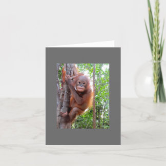Rescued Baby Orangutan Uttuh Card