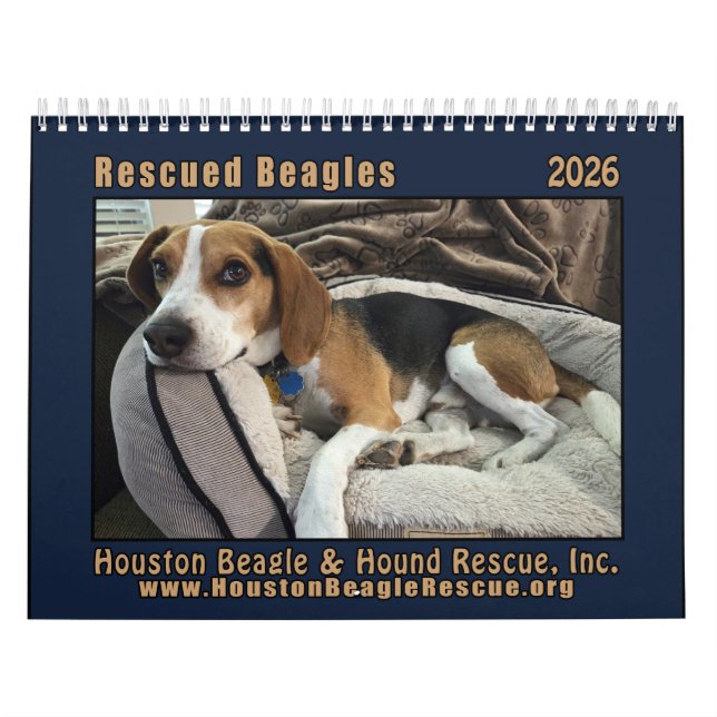 Rescued Beagles 2026 Wall Calendar (Cover)