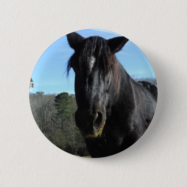 Rescued Black Draught Horse 2 Inch Round Button (Front)