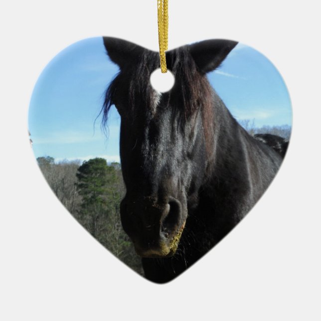 Rescued Black Draught   Horse Ceramic Ornament (Front)