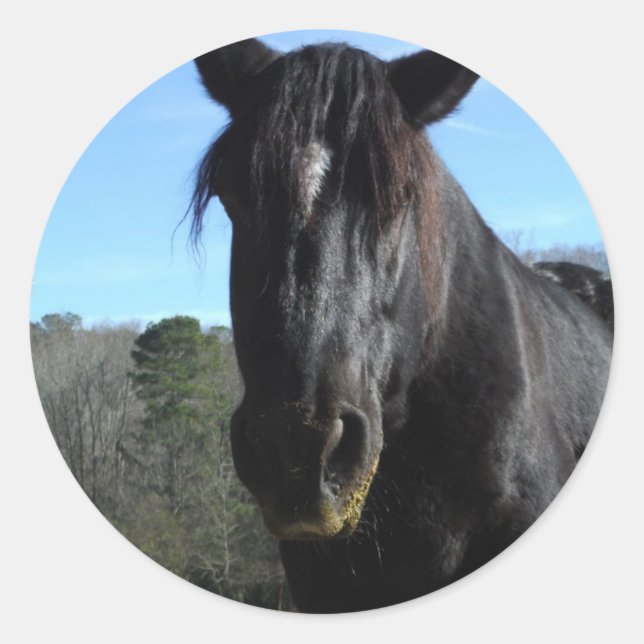 Rescued Black Draught Horse Classic Round Sticker (Front)