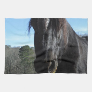 Rescued Black Draught Horse Kitchen Towel