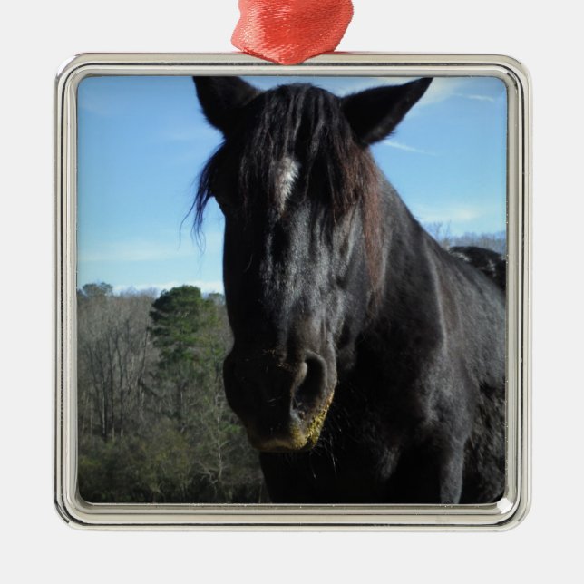 Rescued Black Draught Horse Metal Ornament (Front)