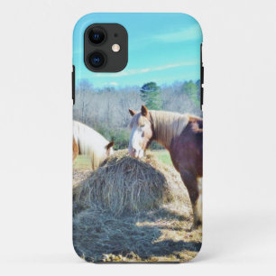 Rescued Draught Horses eating hay iPhone 11 Case