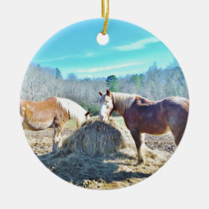 Rescued Draught Horses eating hay Ceramic Ornament