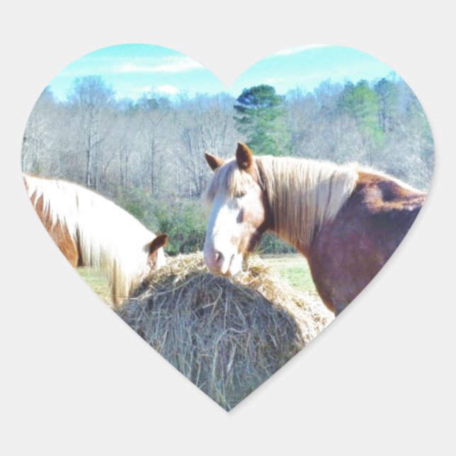 Rescued Draught Horses eating hay Heart Sticker (Front)