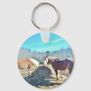 Rescued Draught Horses eating hay Keychain