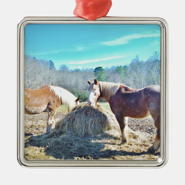 Rescued Draught Horses eating hay Metal Ornament (Front)