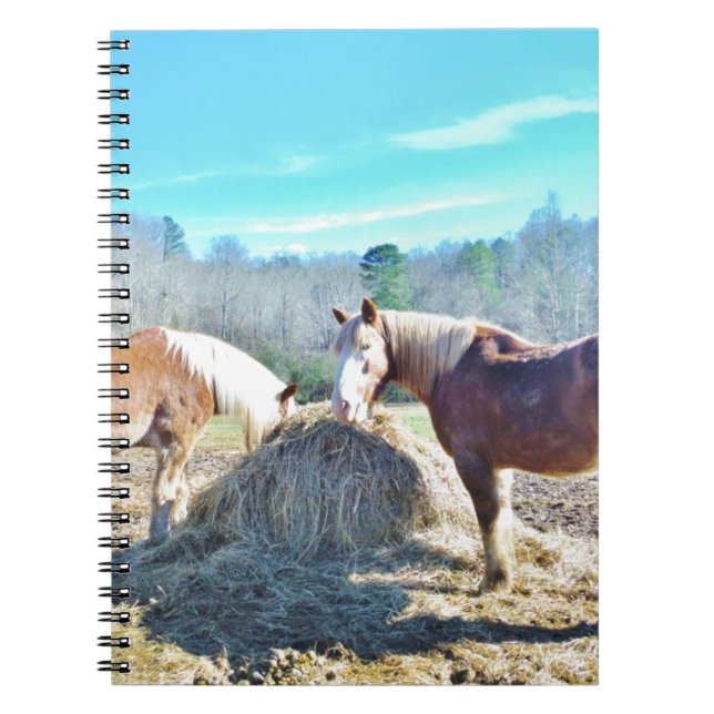Rescued Draught Horses eating hay Notebook (Front)