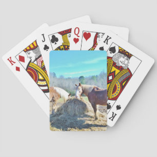 Rescued Draught Horses eating hay Playing Cards