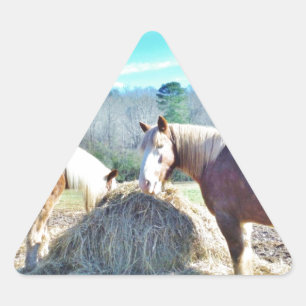 Rescued Draught Horses eating hay Triangle Sticker