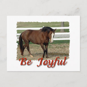 Rescued Morgan Horse: Be Joyful Postcard