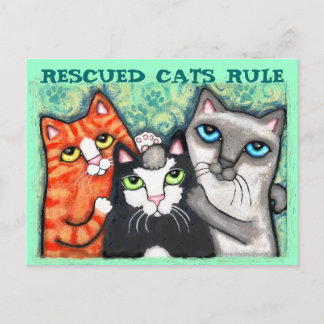 Rescued / Shelter Cat's Postcard