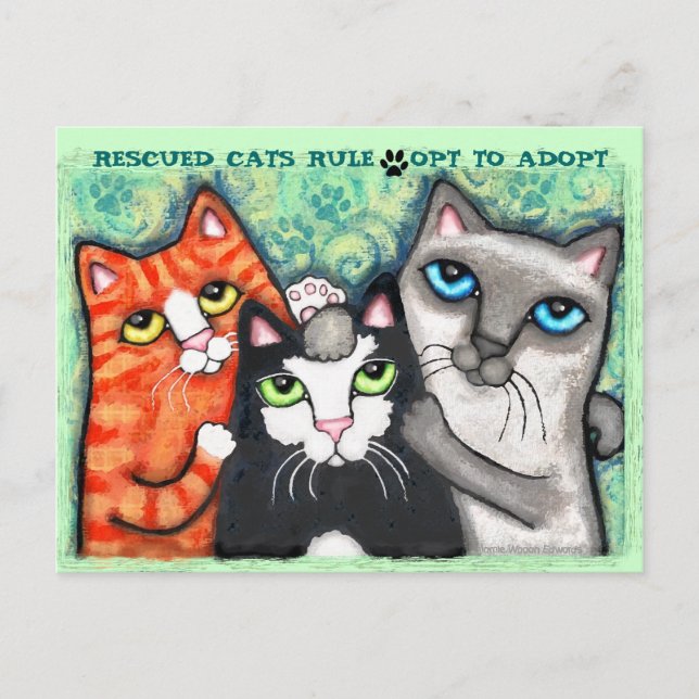 Rescued / Shelter Cat's Postcard (Front)
