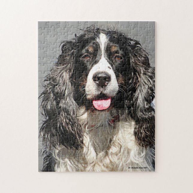 Rescued Springer Spaniel Dog Jigsaw Puzzle (Vertical)