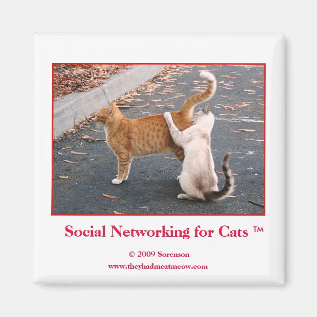 Réseaux sociaux pour le Magnet des chats (Devant)