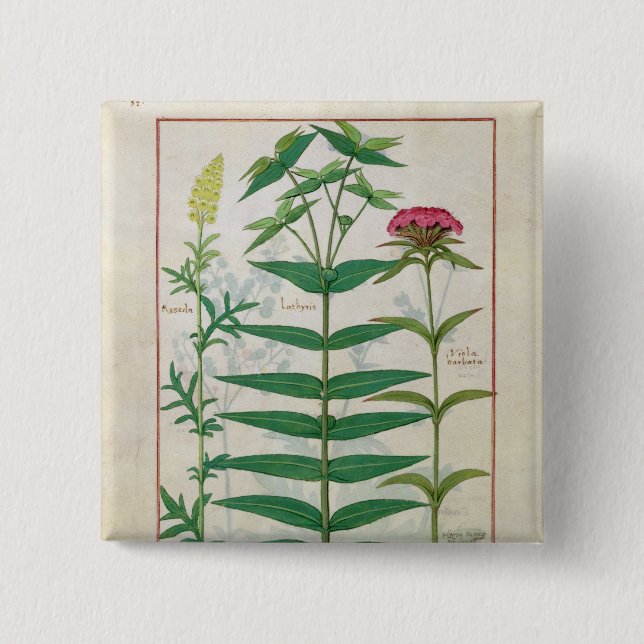 Reseda, Euphorbia and Dianthus 2 Inch Square Button (Front)