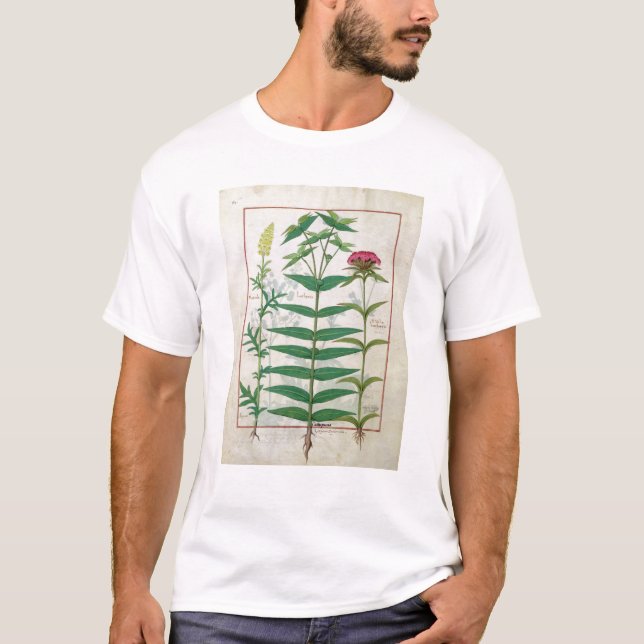 Reseda, Euphorbia and Dianthus T-Shirt (Front)