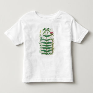 Reseda, Euphorbia and Dianthus Toddler T-shirt