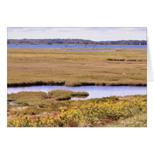 Réserve faunique nationale de la rivière Parker : 