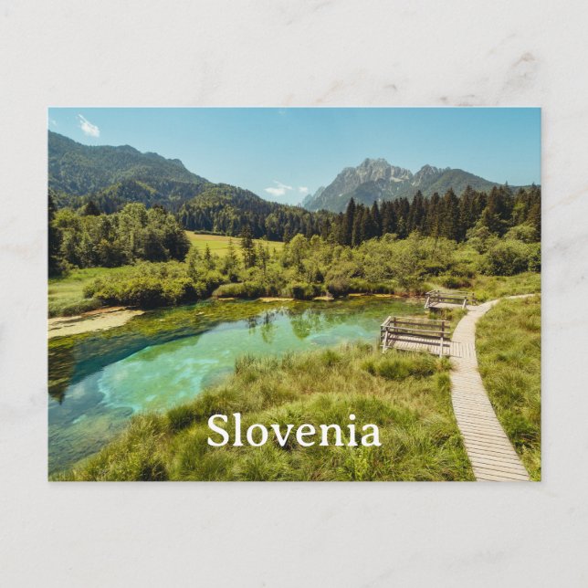 Réserve naturelle de Zelenci, Slovénie Carte posta (Devant)