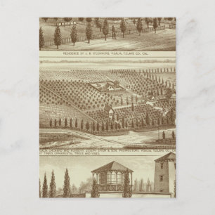 Residence, nursery, stable, Visalia, Cal Postcard