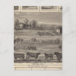 Residences, farm, businesses in W Liberty, Ackley Postcard