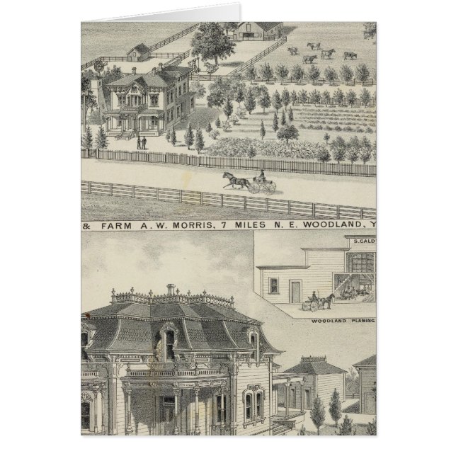 Résidences forestières, fermes (Devant)