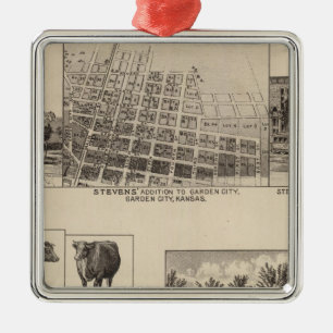 Residences in Kansas Metal Ornament
