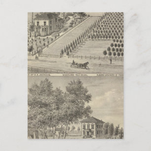 Residences Woodland, Knights Landing Postcard