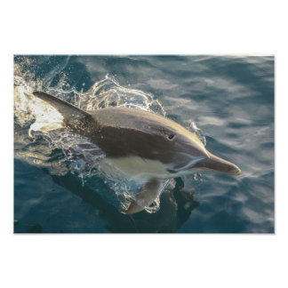 Resident Rider Photo Print