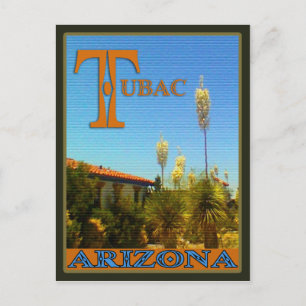 Residental Cactus Scene, Tubac, Arizona postcard