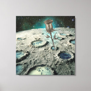 RESILIENCE canvas wall art   m3galleryStudio